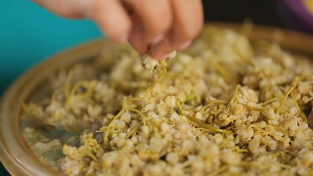 Jonjoli sold on outdoor market, marinated plants, georgian cuisine closeup