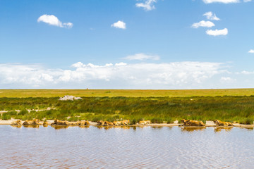 Landscapes of savanna. Lions of Serengeti, Africa