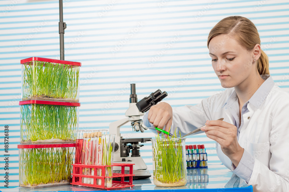 Poster scientist with green plant in modern laboratory. woman study of genetic modified GMO plants in the laboratory