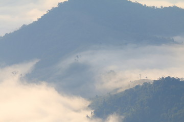 morning mountain fog Thailand