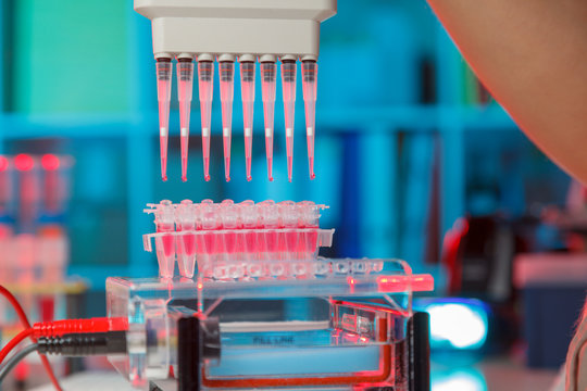 electrophoresis device in a genetics lab to decrypt the genetic code