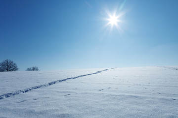A snowy field on a sunny day with human footprints on it