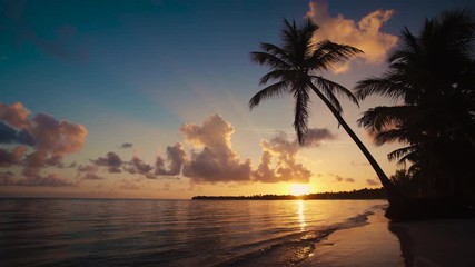Sunrise video at tropical island beach and palm tree silhouettes. Punta Cana, Dominican Republic 