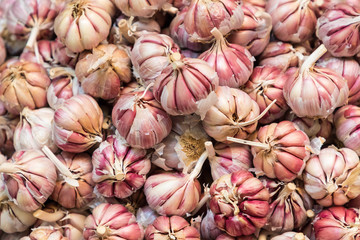 fresh garlics in a market