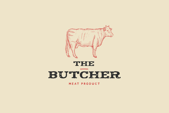 Vintage logo butcher shop with picture of cow. Engraving label with sample text. Vector Illustration.