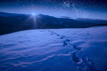 The track of footprints on a snow in a carpathian mountain valley