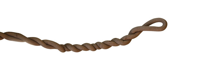 Twisted wild liana jungle vine isolated on white background, clipping path included