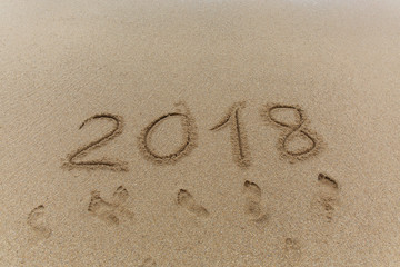 New year 2018