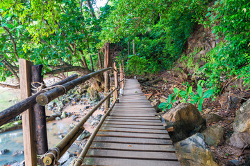 an empty wooden path in the jungles of Thailand near the sea