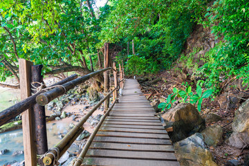 Obraz premium an empty wooden path in the jungles of Thailand near the sea