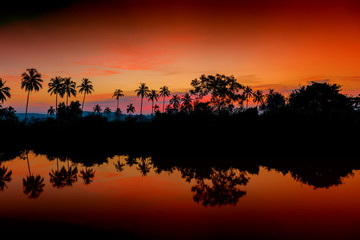 Beautiful morning landscape in the tropics