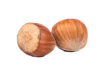 Two hazelnuts in shell
