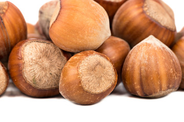 Hazelnuts in shell