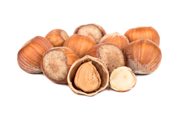 Hazelnuts in shell