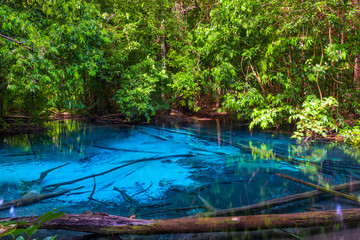 Beautiful blue lake in Krabi nature reserve, Thailand
