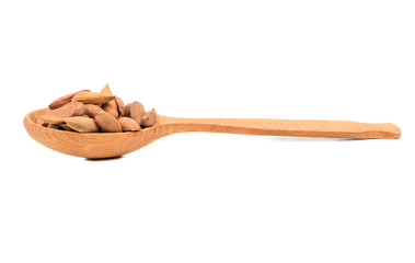 Uzbek almond in spoon