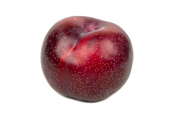 Big red plum