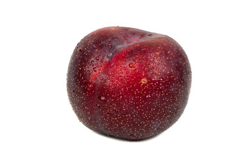 Big red plum