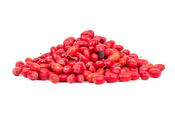 Bunch fresh barberry