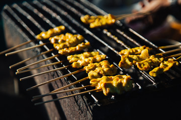 Pork Satay, Grilled curry pork