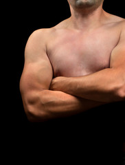 Fototapeta na wymiar Torso budding bodybuilder