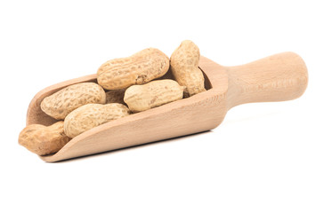 Peanuts in shell in scoop