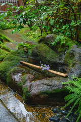 雨あがりの坪庭