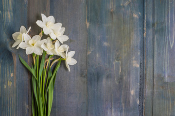 White daffodils and heart