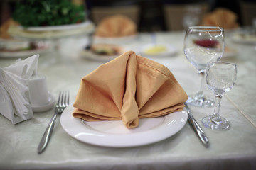 Napkin on plate