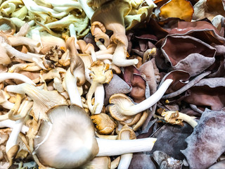 Fresh mushrooms for sale
