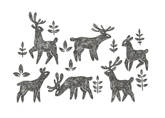 Vector hand drawn illustration with deer herd in forest isolated on white background. Natural pattern with cute animals and floral elements in ethnic ornamental style for print.