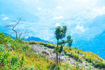 Phu Chi Fa View Point in Chiangrai Province