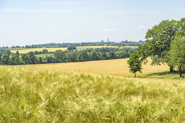 rural scenery in Hohenlohe