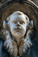 Little Angel close up with spider web