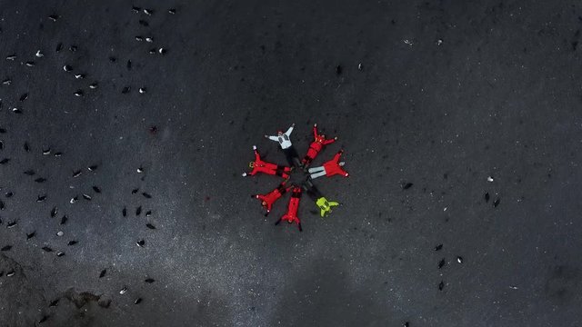 Top view of lying people on the beach among the penguins. Andreev.