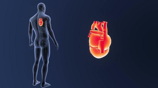 Heart zoom with CS