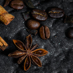 anise (star badian), grain coffee, cinnamon - culinary spices