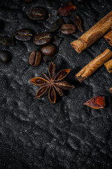 anise (star badian), grain coffee, cinnamon - culinary spices