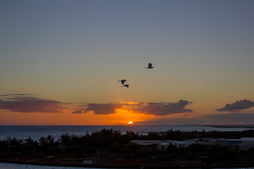 Tropical Sunset, Waikiki Beach, Honolulu, Hawaii with silhouette palm tress, sea and sand