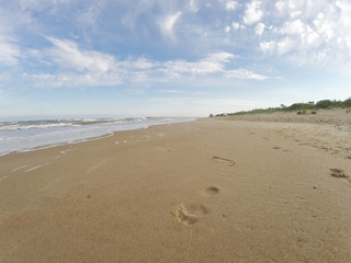 Fototapeta na wymiar Sandy beach in Palanga, Lithuania