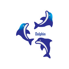 Three Dolphin Vector Template Design