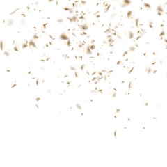 Gold confetti celebration isolated on white. Festive background. EPS 10 vector