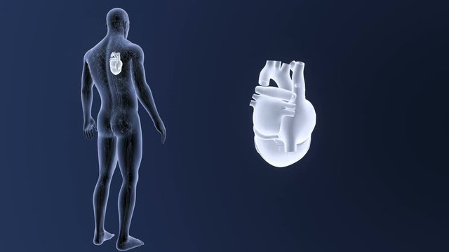 Heart zoom with CS