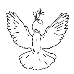 Obraz premium friedenstaube_groß