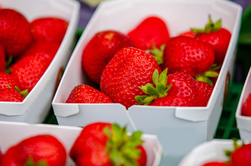 Strawberries in white containers