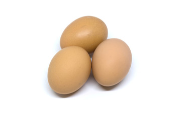 isolated eggs on white backgrounds