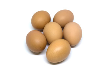 isolated eggs on white backgrounds