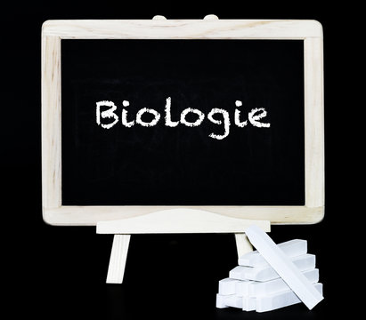 Biologie Text auf Tafel
