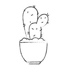 pot with desert plant vector illustration design