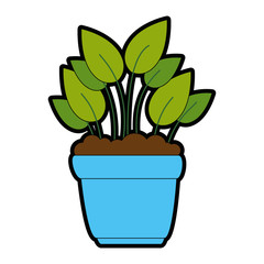 house plant in pot vector illustration design